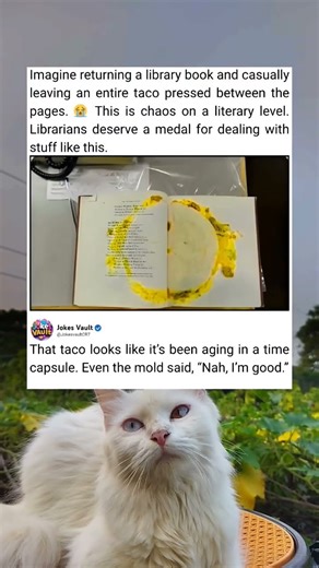 A Polite Library Surprise