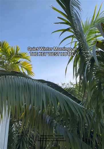 Quiet winter mornings here just hit different. While everyone else is layering up, we’re soaking up the sun light and blue skies in Key West. If you’ve been dreaming about a warm winter escape… this is your sign. #keywesthotel #keywestflorida #wintervacay #FloridaKeys #keywest