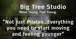 Our Online Courses | bigtreestudio