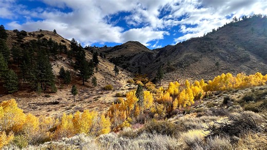 What date will autumn start? A look at when daylight saving time ends, fall begins