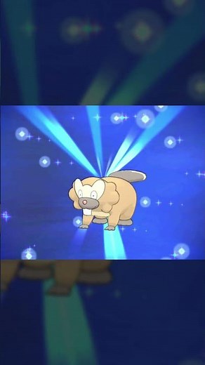 Bidoof evolution in Pokemon X and Y #Pokemon #Shorts