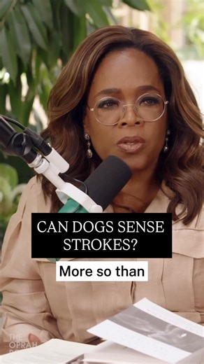 Watch the latest episode of #TheOprahPodcast on my YouTube channel, where you’ll hear firsthand about a dog alerting his owner that her child was having a stroke. Experience it here: https://m.youtube.com/watch?v=C_FruLsmoN8&t=451s | Oprah Winfrey