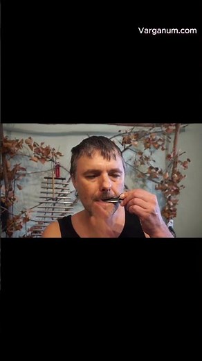 Jaw harp Sage by Volgutov - Key B1, Fast composition-1.