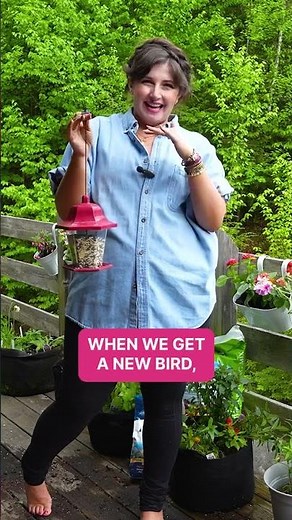 Fact: Someone who studies birds is known as an Ornithologist