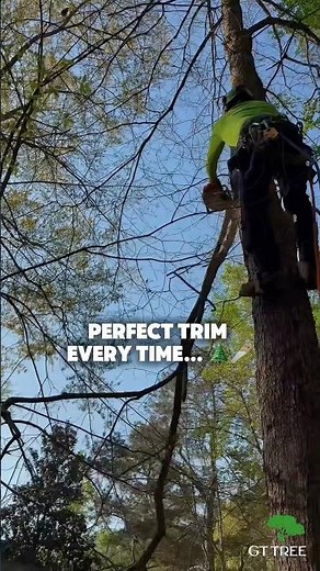 🌳Trimming Tree to Perfection at Atlanta Home #treeservice