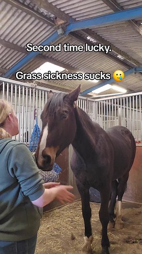Understanding Grass Sickness in Horses