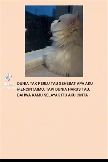 Asfan (@asfan263)’s videos with original sound - Asfan