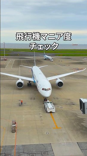 飛行機マニア✈️チェック #航空機 #空港 #ANA
