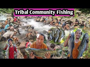 Tribal Community Fishing|Tamu|Traditional fishing culture of tribal people of Arunachal Pradesh 🇮🇳