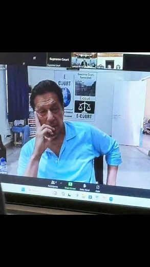 Understanding E-Court Procedures: A Video Call Experience