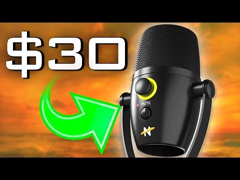 Neat Bumblebee ii Mic Review – Amazing Sound or Not?