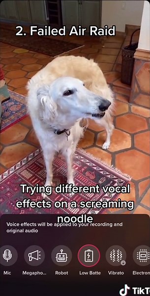 Borzoi Screaming: Trying Vocal Effects on a Screaming Noodle