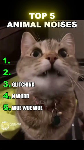 animal noises #funny #animals