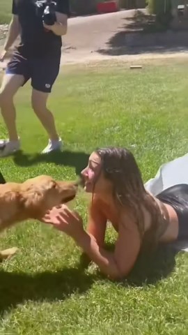 Insane backyard Slip 'N Slide!