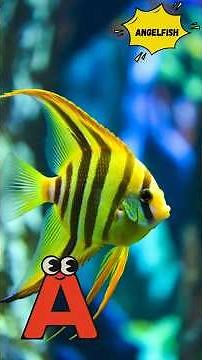 ABC Ocean Animals 🐠 | Learn A–Z in 60 Seconds! 🌊 | Energypac Kids TV#abcd #kids #shorts #ocean