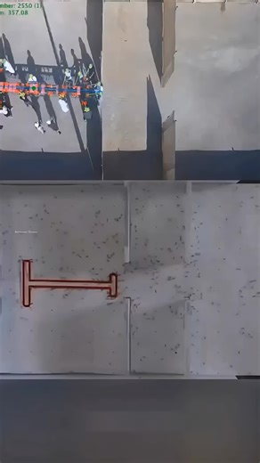 Ant vs Human💡😱🔥 #lifehacks #experiment #video #shorts #ytshorts