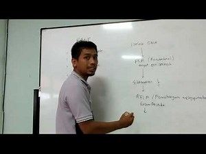 prinsip kerja RFLP (Restriction Fragment Length Polymorphic)
