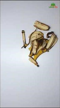 How to Make Organic Fertilizer at Home