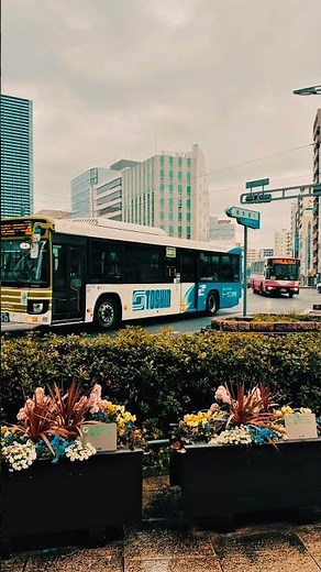 Why Are So Many Buses Here at Once? 🚌🇯🇵 | Busy Japan Roads