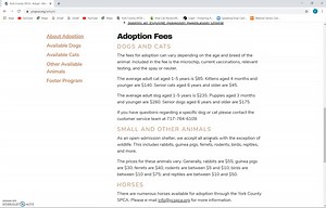 1.4K views · 41 reactions | Have you checked out the new website yet? You now have the ability to view all of our adoptable animals directly on the York County SPCA website. Watch the tutorial video to learn how to see available animals and apply for adoption. Then visit ycspca.org to submit your adoption application today! | York County SPCA | Facebook