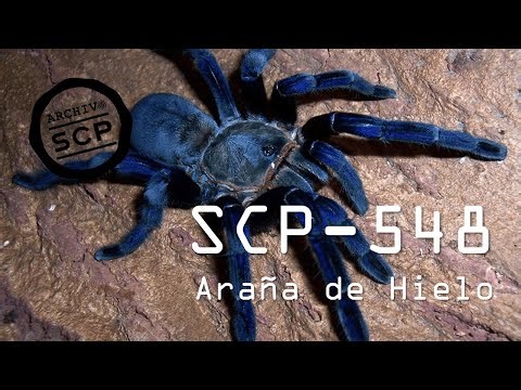 SCP 548: Ice Spider - SCP File