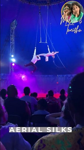 Kids Enjoy Aerial Silks Circus Show #circus