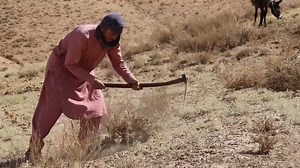 As Afghan Media Struggles Under Taliban, Jobless Journalists Grow Desperate