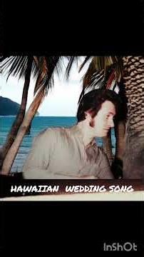 HAWAIIAN WEDDING SONG 🌴🌴🌴