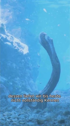Ein Ort auf der Erde verschluckt den Everest!