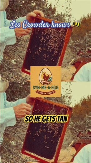 Day 2 of 3: Treatment-Free Beekeeping Training | SYN-ME-A-EGG x Bee Mindful