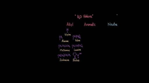 Classification of amino acids