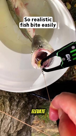 So realistic fish bite easily