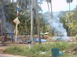 Coconut production in Thailand - Alchetron, the free social encyclopedia
