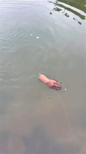 কতদিন পরে আমার সেই হারিয়ে যাওয়া হাত ফিরে পেলাম #funny #comedy #shorts #viralvideo