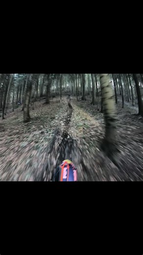 Mastering 4 Gear Techniques on a KTM