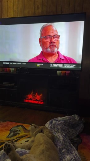 17K views · 414 reactions | Truer words cannot be spoken. Just...