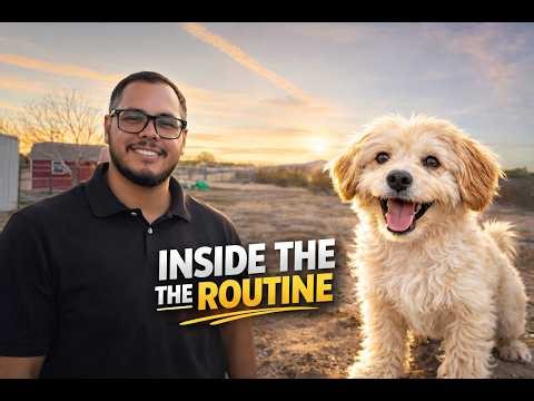 Dogs Need Structure (What it Looks Like)