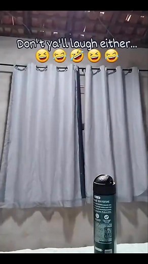 12 reactions | #funnyvideos | Charlene Davis | Facebook