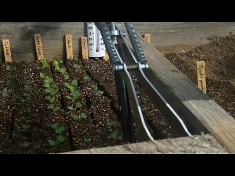 Starting Seeds in the Amazing Cold Frame