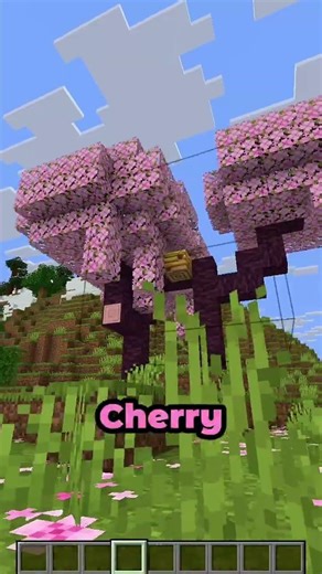 The BEST Seed in Minecraft?! ⛏🐭 #minecraft