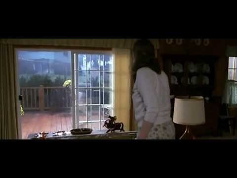 Talladega Nights | Ricky Bobby | ANARCHY