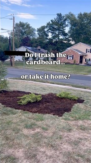 Using cardboard in the landscape? #landscaping