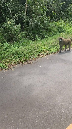 Tim Tetzlaff on Reels