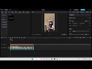 Zoom Motion Track Tutorial On CapCut PC