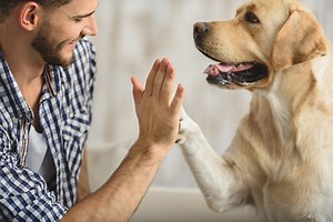 Animal Assisted Therapy: Uses, Benefits, Types and More - PsychoTreat