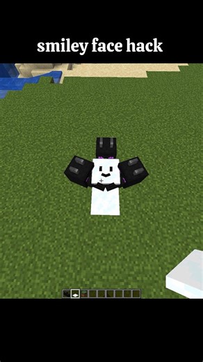 Deny Guy on Instagram: "Smiley face hack #minecraft"