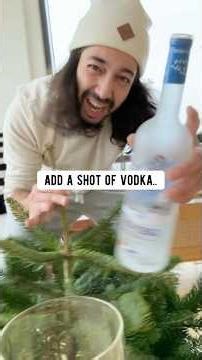 How to keep a Xmas tree fresh | creative explained