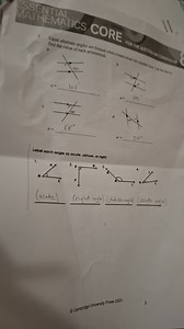 Equal alternate angles are formed when a transversal cuts paral... | Filo