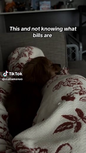 The life lol #fyp #puppy #cavapom #foryou #puppytiktok