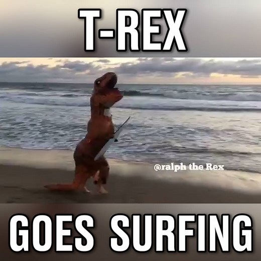 8.8M views · 12 reactions | Ralph The Rex tries to surf!  | LADbible | Facebook